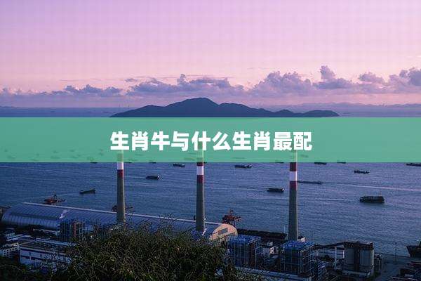 生肖牛与什么生肖最配