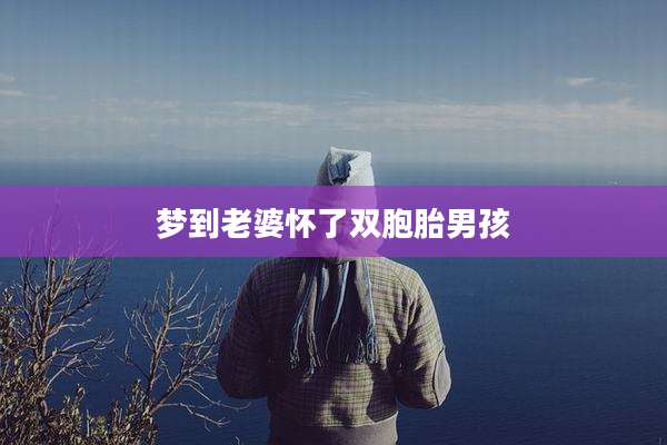 梦到老婆怀了双胞胎男孩