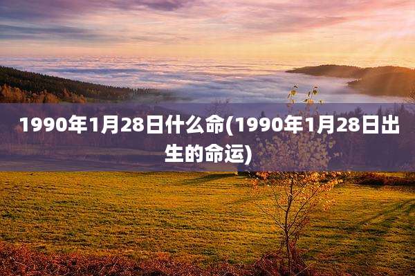 1990年1月28日什么命(1990年1月28日出生的命运)