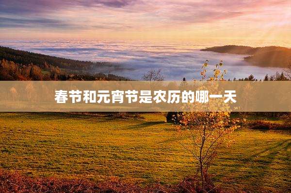 春节和元宵节是农历的哪一天