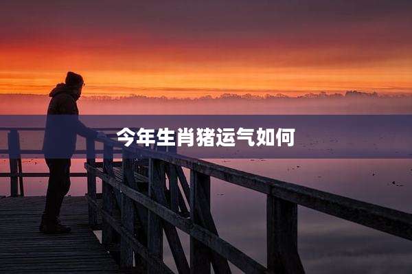 今年生肖猪运气如何