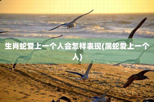 生肖蛇爱上一个人会怎样表现(属蛇爱上一个人)