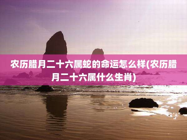 农历腊月二十六属蛇的命运怎么样(农历腊月二十六属什么生肖)