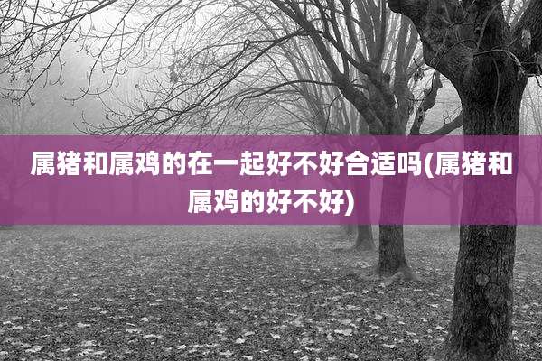 属猪和属鸡的在一起好不好合适吗(属猪和属鸡的好不好)