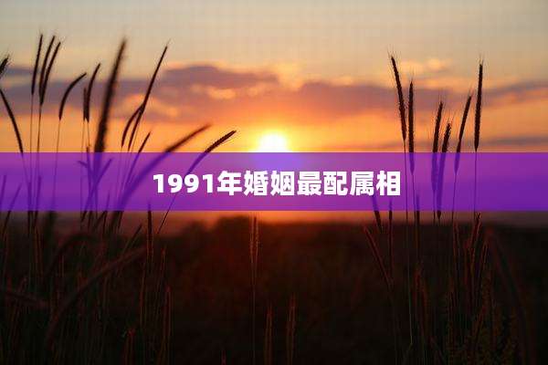 1991年婚姻最配属相