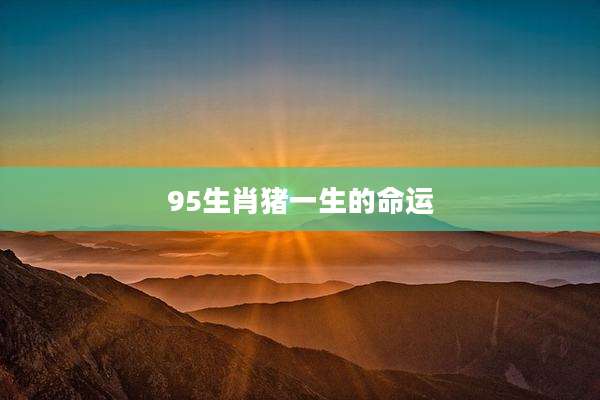 95生肖猪一生的命运