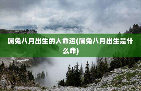 属兔八月出生的人命运(属兔八月出生是什么命)