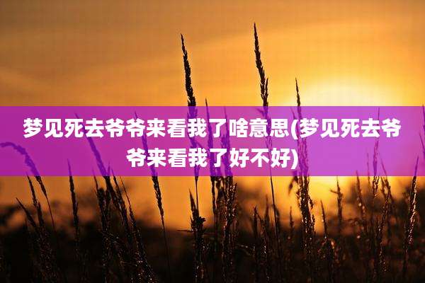 梦见死去爷爷来看我了啥意思(梦见死去爷爷来看我了好不好)