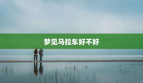 梦见马拉车好不好