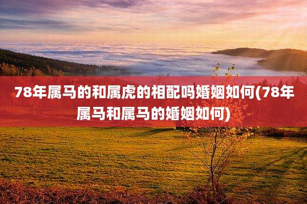 78年属马的和属虎的相配吗婚姻如何(78年属马和属马的婚姻如何)