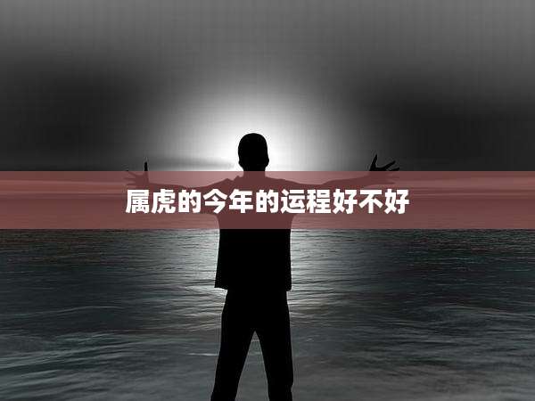 属虎的今年的运程好不好