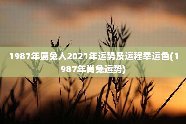 1987年属兔人2021年运势及运程幸运色(1987年肖兔运势)