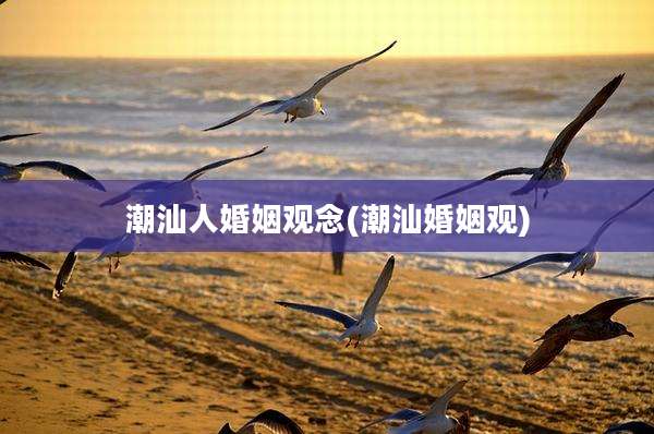 潮汕人婚姻观念(潮汕婚姻观)