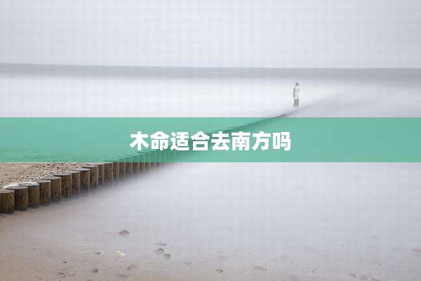 木命适合去南方吗