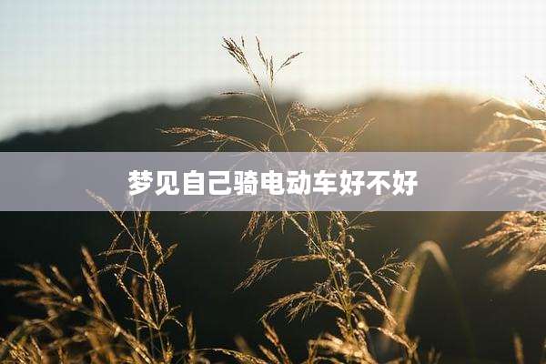 梦见自己骑电动车好不好
