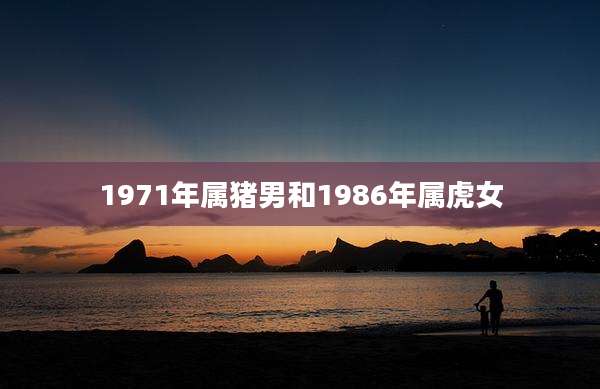 1971年属猪男和1986年属虎女