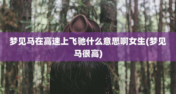 梦见马在高速上飞驰什么意思啊女生(梦见马很高)