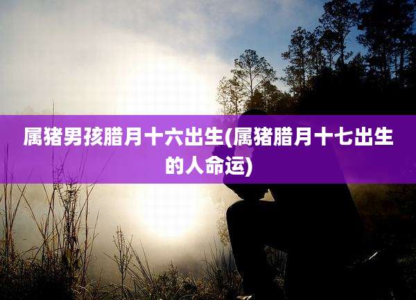 属猪男孩腊月十六出生(属猪腊月十七出生的人命运)