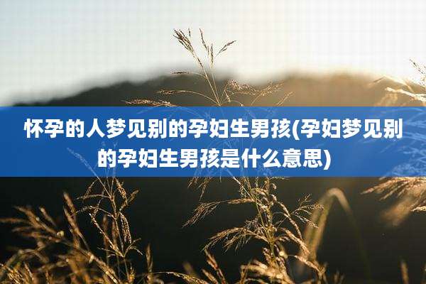 怀孕的人梦见别的孕妇生男孩(孕妇梦见别的孕妇生男孩是什么意思)