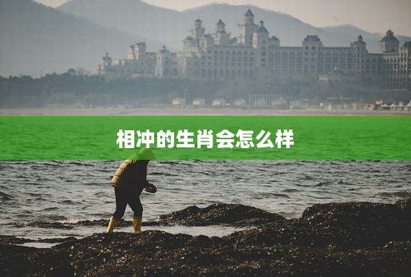 相冲的生肖会怎么样