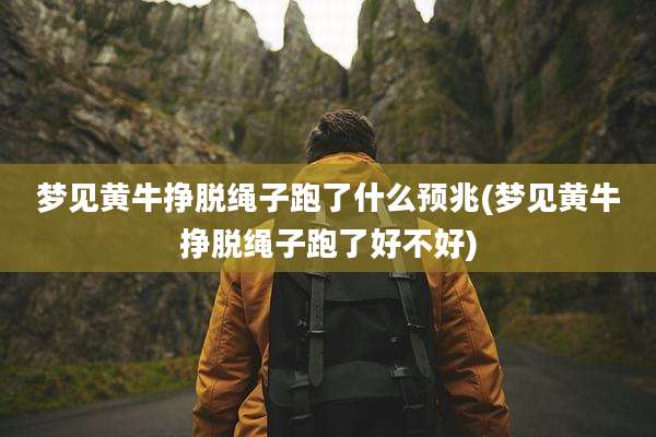 梦见黄牛挣脱绳子跑了什么预兆(梦见黄牛挣脱绳子跑了好不好)