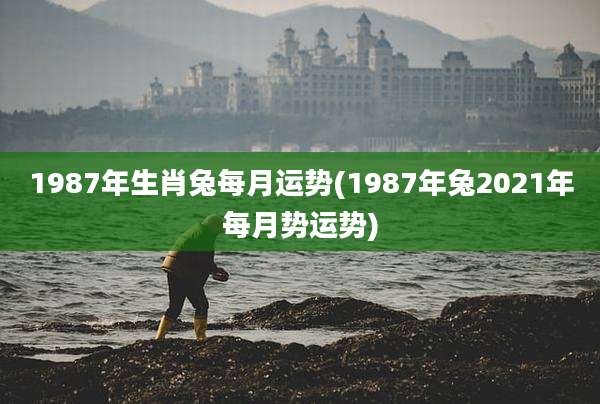 1987年生肖兔每月运势(1987年兔2021年每月势运势)