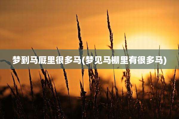 梦到马厩里很多马(梦见马棚里有很多马)