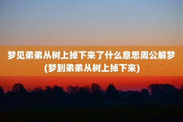 梦见弟弟从树上掉下来了什么意思周公解梦(梦到弟弟从树上掉下来)