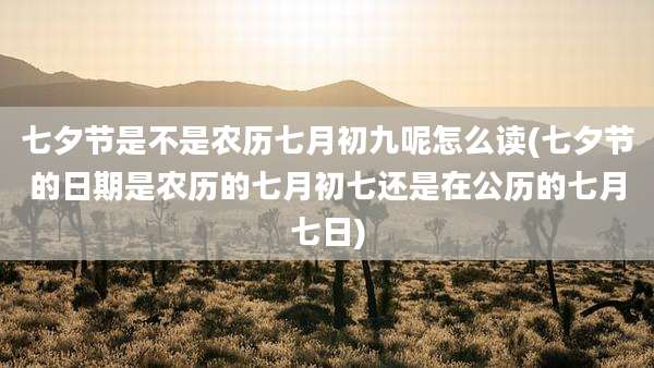 七夕节是不是农历七月初九呢怎么读(七夕节的日期是农历的七月初七还是在公历的七月七日)