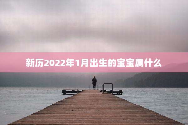 新历2022年1月出生的宝宝属什么