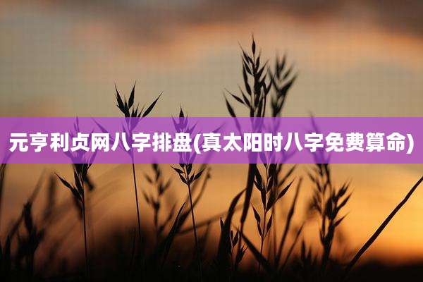 元亨利贞网八字排盘(真太阳时八字免费算命)
