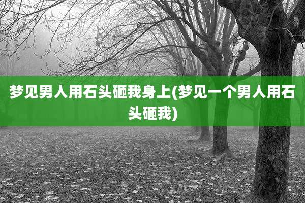 梦见男人用石头砸我身上(梦见一个男人用石头砸我)