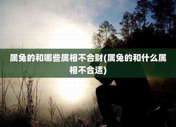 属兔的和哪些属相不合财(属兔的和什么属相不合适)