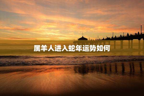 属羊人进入蛇年运势如何