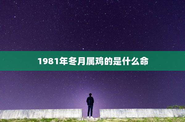 1981年冬月属鸡的是什么命