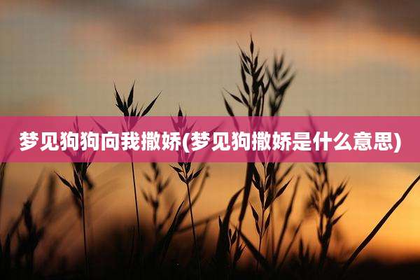 梦见狗狗向我撒娇(梦见狗撒娇是什么意思)