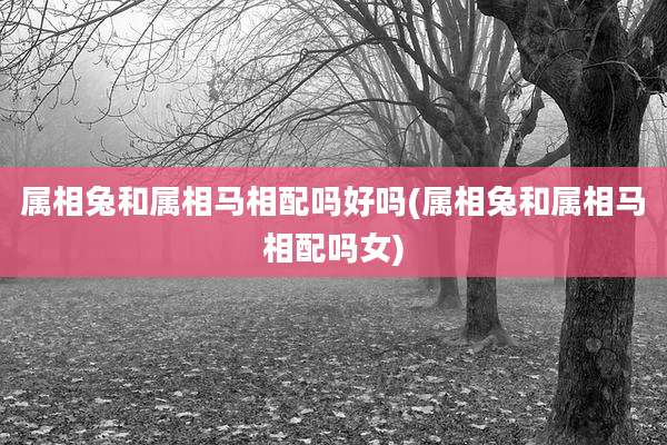 属相兔和属相马相配吗好吗(属相兔和属相马相配吗女)