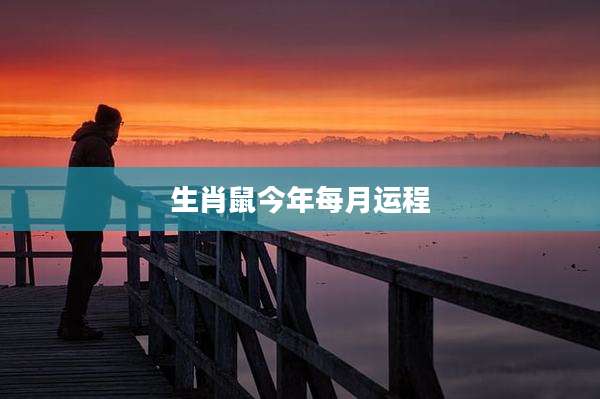 生肖鼠今年每月运程