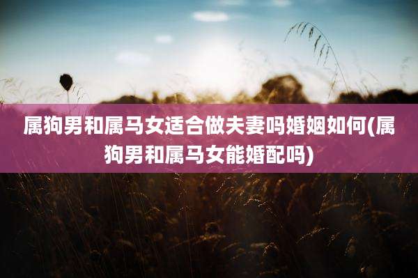 属狗男和属马女适合做夫妻吗婚姻如何(属狗男和属马女能婚配吗)