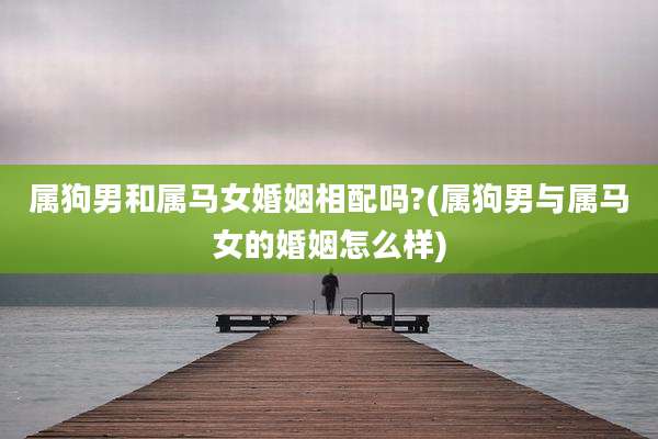 属狗男和属马女婚姻相配吗?(属狗男与属马女的婚姻怎么样)