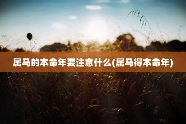属马的本命年要注意什么(属马得本命年)