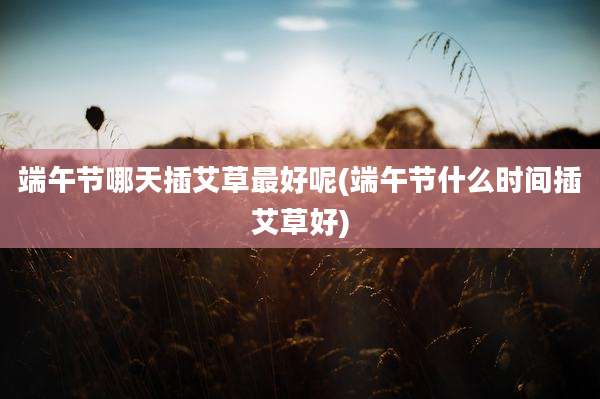 端午节哪天插艾草最好呢(端午节什么时间插艾草好)
