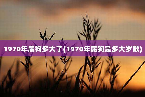 1970年属狗多大了(1970年属狗是多大岁数)