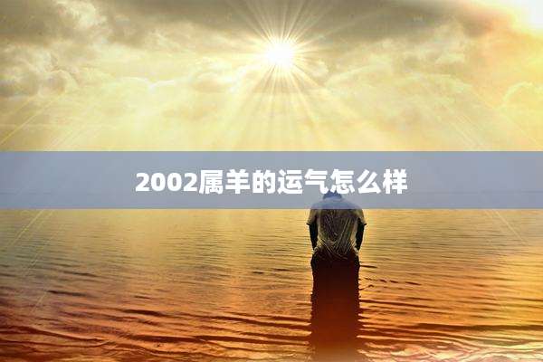 2002属羊的运气怎么样