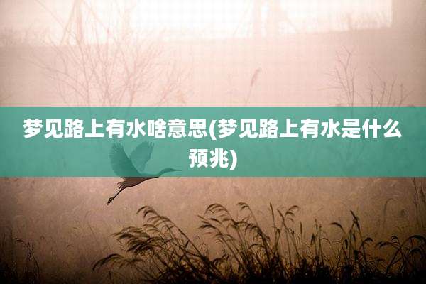 梦见路上有水啥意思(梦见路上有水是什么预兆)