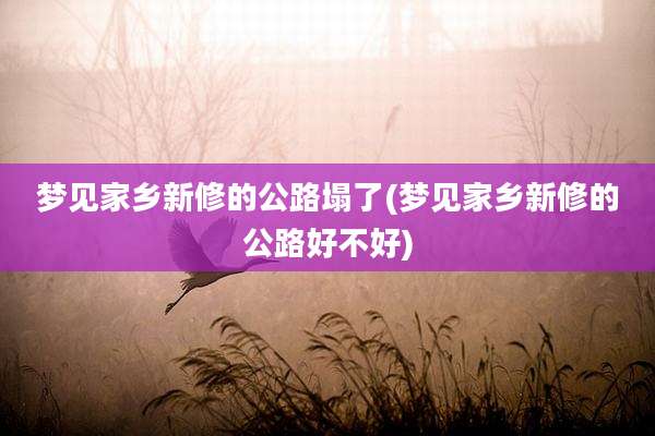 梦见家乡新修的公路塌了(梦见家乡新修的公路好不好)