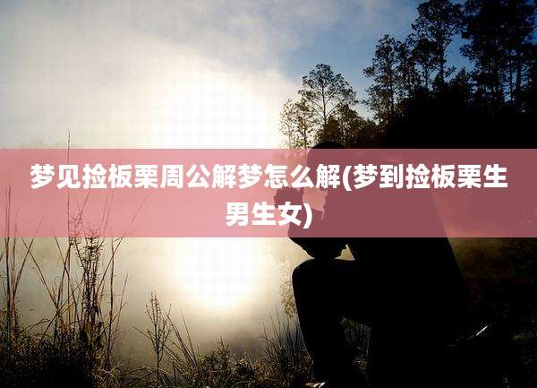 梦见捡板栗周公解梦怎么解(梦到捡板栗生男生女)