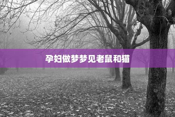 孕妇做梦梦见老鼠和猫