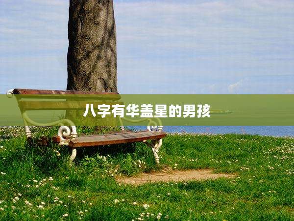 八字有华盖星的男孩