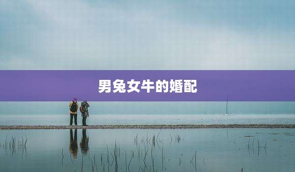 男兔女牛的婚配
